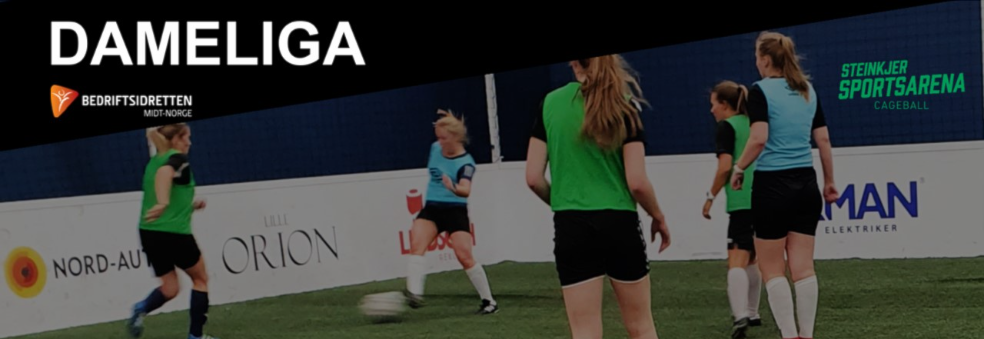 Bedriftsidrettens Dameliga i Cageball
